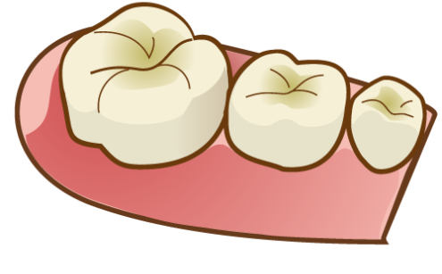 乳歯のエナメル質や象牙質が薄い